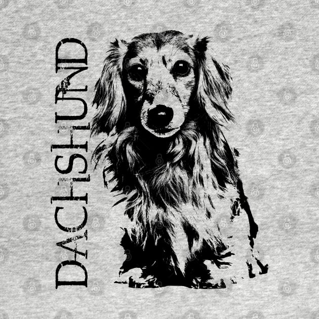 Dachshund dog  - Doxie by Nartissima